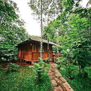https://bamboo-creek-resort.kerala-hotels.net
